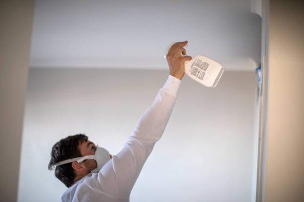 Best Black Mold Removal  in Jeffersontown, KY