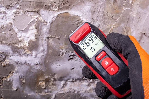 Best Professional Mold Removal  in Jeffersontown, KY